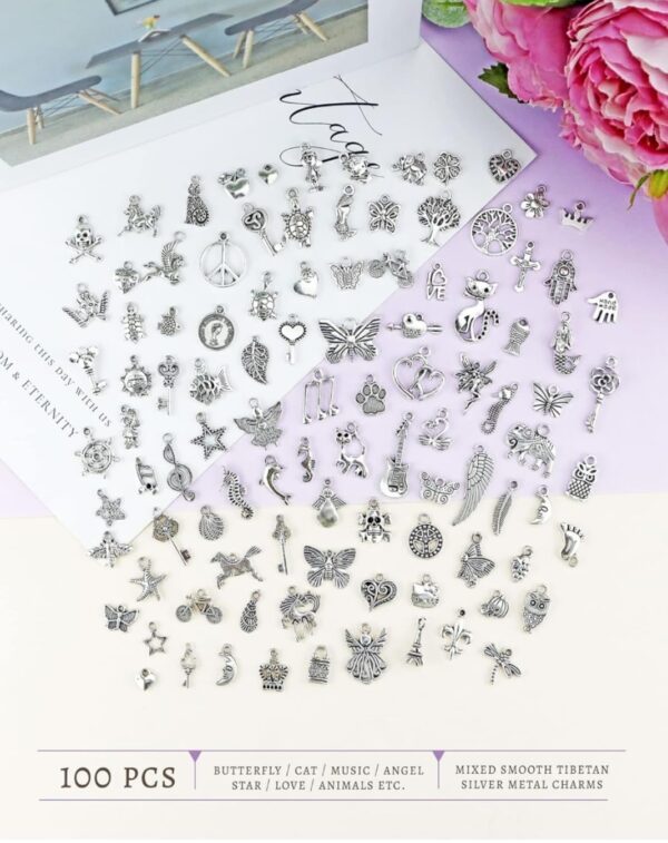 PROJEWEL Wholesale Bulk Lots Jewelry Making Silver Charms Mixed Smooth Tibetan Silver Metal Charms Pendants DIY for Necklace Bracelet Jewelry Making and Crafting, 100 Pieces - Image 6